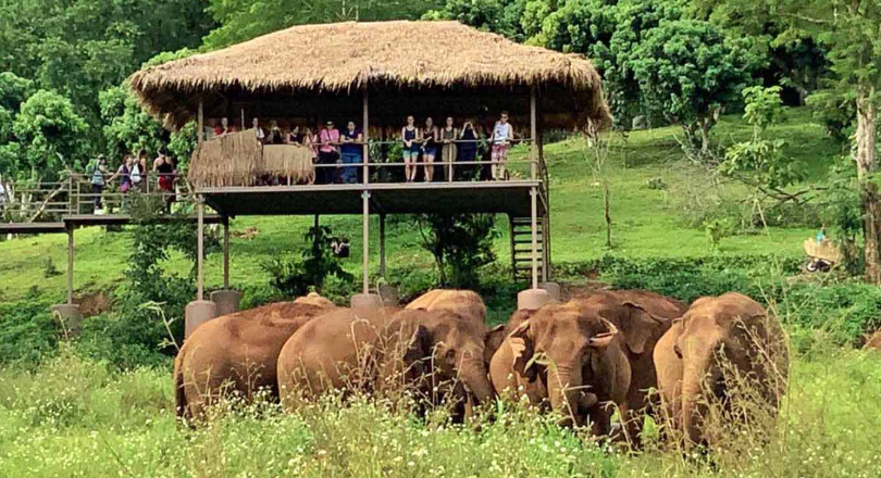 Elephant Nature Park