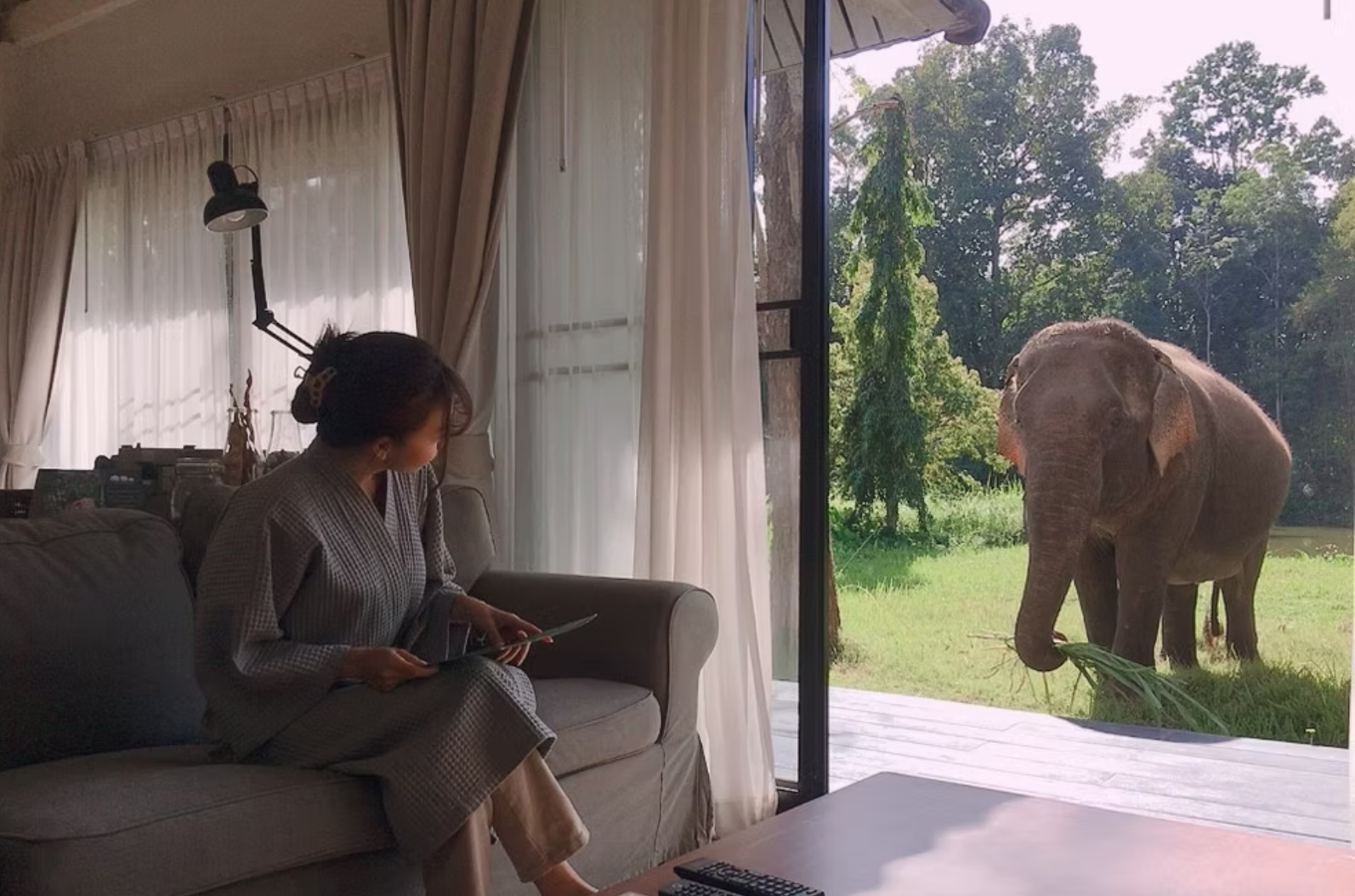 Sappraiwan Elephant Sanctuary
