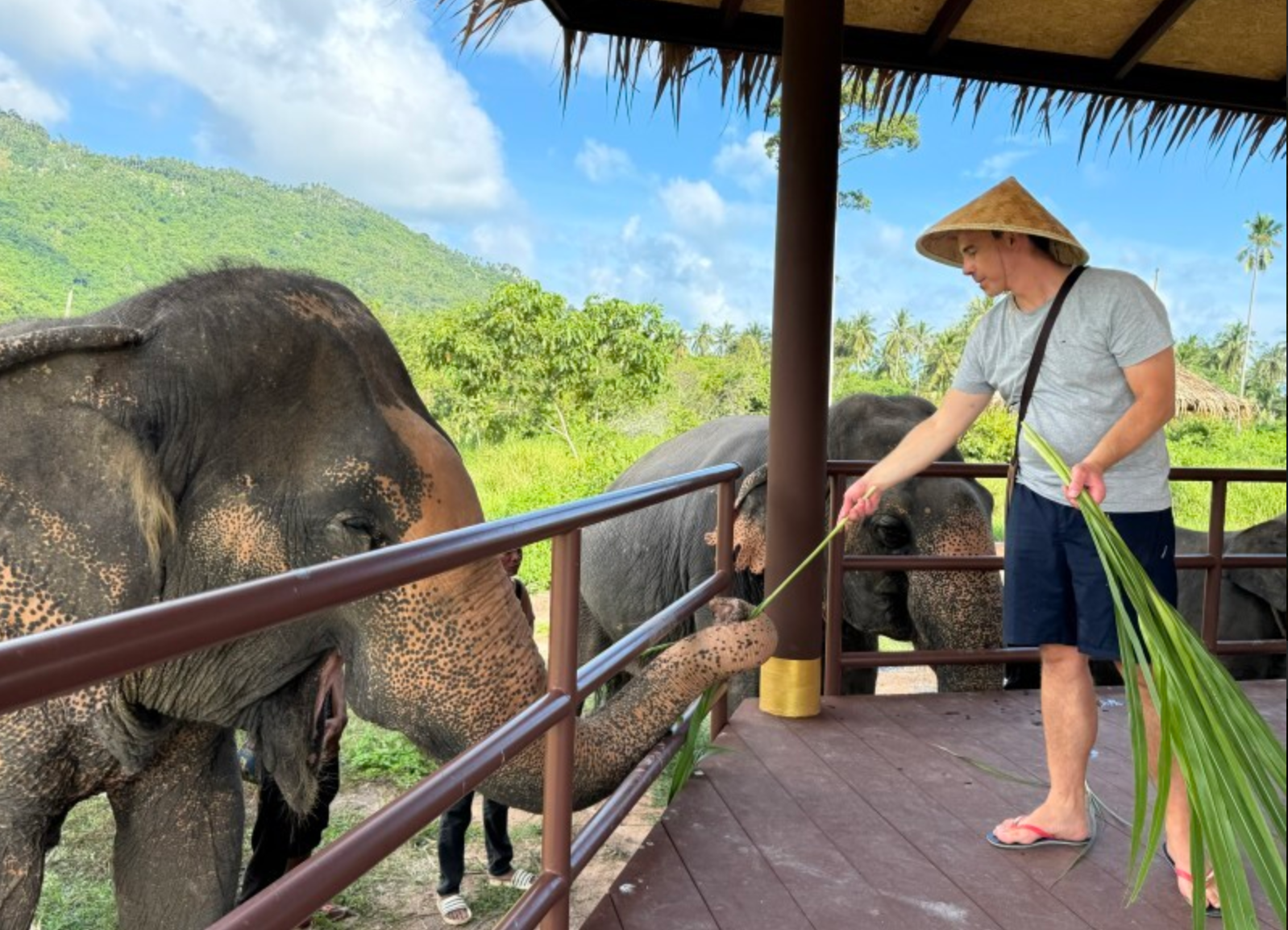 Samui Elephant Home
