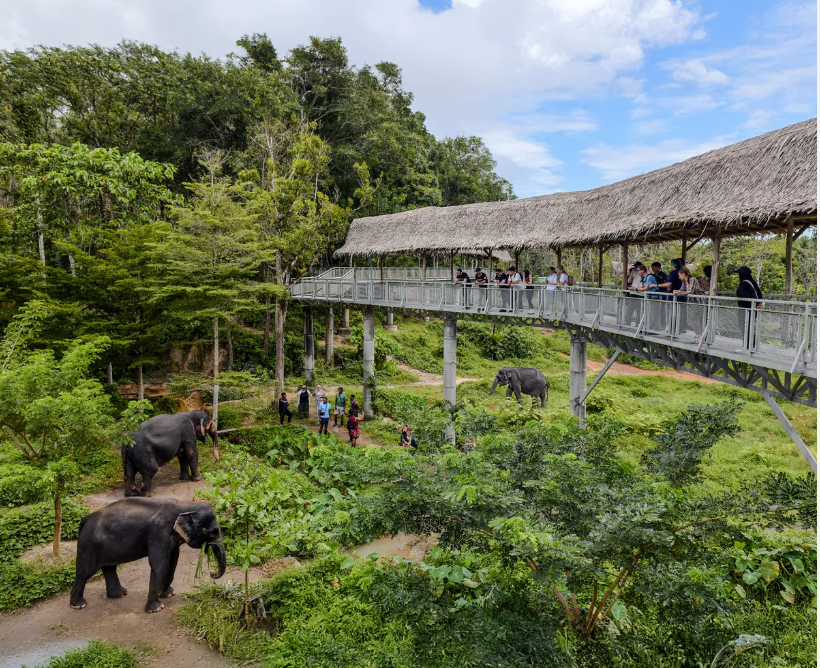 Phuket Elephant Sanctuary