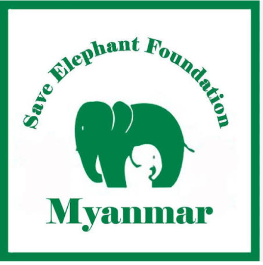 Save Elephant Foundation Myanmar logo