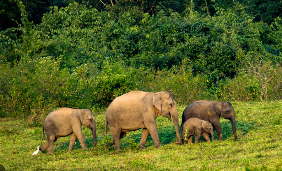 Kui Buri National Park